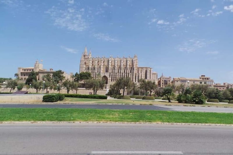 Peguera: Trike Tour - Why a trike is a smart way to see Mallorca