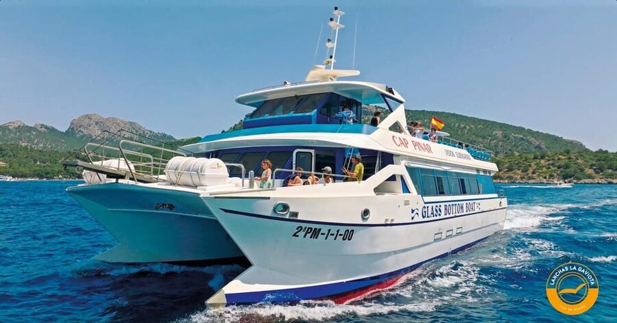 Pollença: Dolphin Watching Boat Excursion - FAQ
