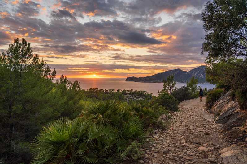 Port Andratx: Guided hiking tour into the sunset to Sant Elm - Cap Vermell and the views toward Dragonera