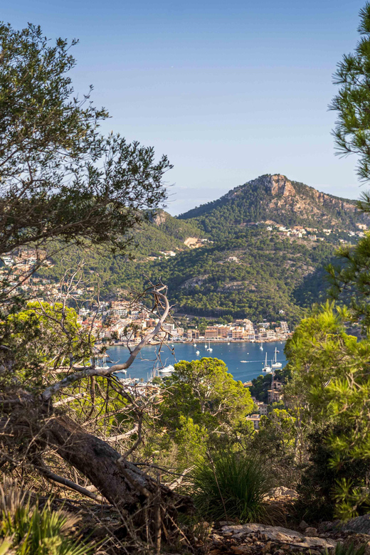 Port Andratx: Guided hiking tour into the sunset to Sant Elm - The sunset picnic with Majorcan tapas