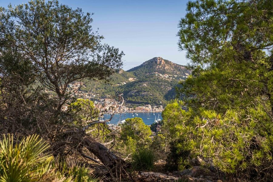 Port Andratx: Guided hiking tour into the sunset to Sant Elm - What $93 buys you