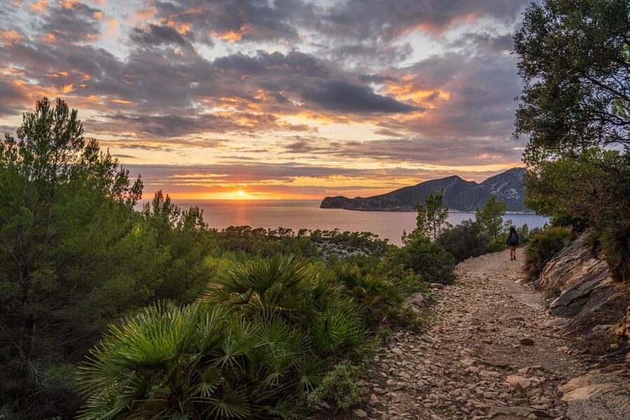 Port Andratx: Guided hiking tour into the sunset to Sant Elm - Who should book this experience