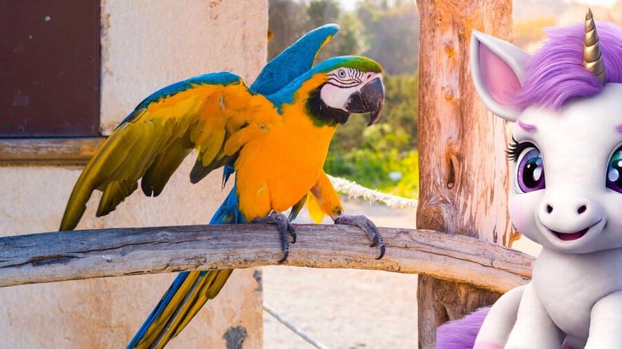 Port d'Alcudia: Meet the Magical Creatures,family game &walk - Is $14 good value for a family?