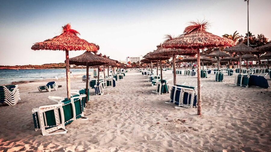 Port d'Alcudia: Meet the Magical Creatures,family game &walk - Who will enjoy it most?