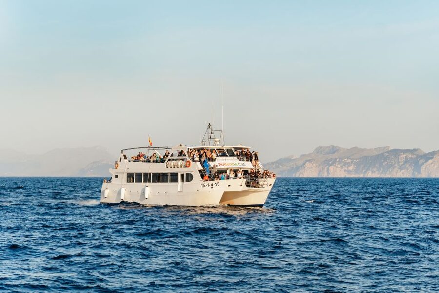 Port d'Alcudia: Sunrise at Sea & Dolphin Watching Boat Tour - The First Hour: Dark Water, Stars, and Open Sea
