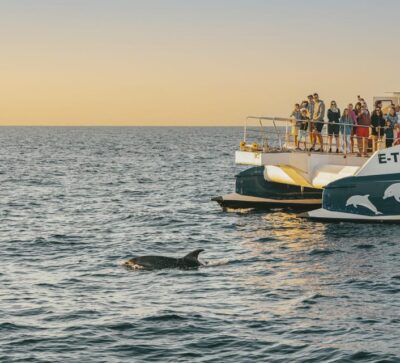 Sunrise at Sea & Dolphin Watching Boat Tour