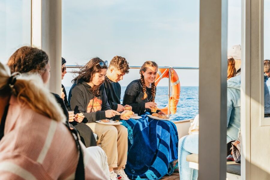 Port d'Alcudia: Sunrise at Sea & Dolphin Watching Boat Tour - How to Make the Morning Go Better
