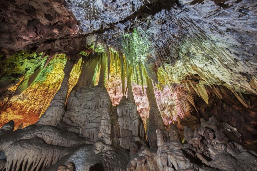 Porto Cristo: Caves of Hams Entry Ticket - Starting in the Round Cave and its bird-filled garden