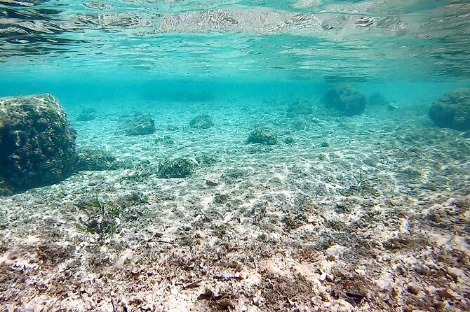 Private Boat Tour from Palma with Snorkeling and Paddle Surfing - What the $470.66 price really means