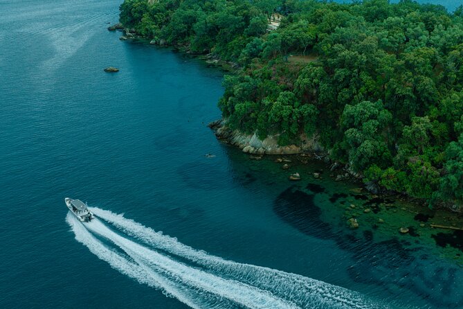 Private Half Day Cruise on a Speed Boat in Mallorca - Is $1,297.58 good value?