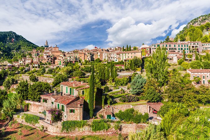 Private Shore Excursion to Valldemossa and Palma de Mallorca - Mountain views, terraces, and a stop at Bellver Castle