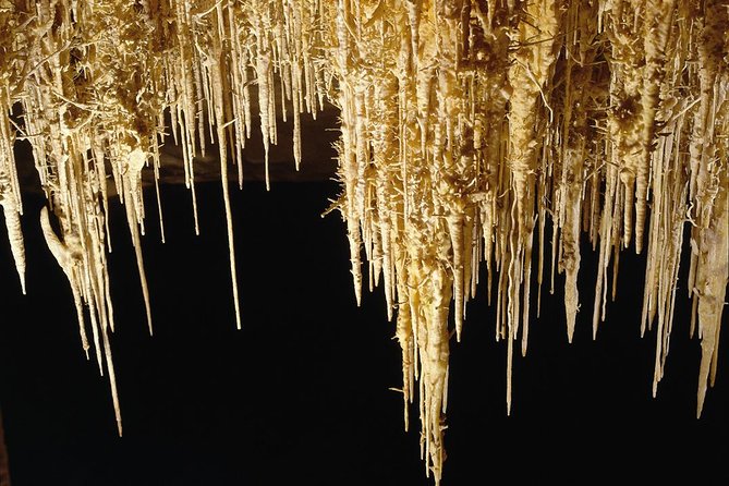 Private Tour: Mallorca Caves of Drach and Majorica Pearl Factory - What private really means at the caves