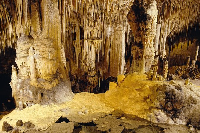 Private Tour: Mallorca Caves of Drach and Majorica Pearl Factory - Walking, humidity, and practical comfort