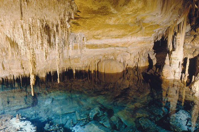 Private Tour: Mallorca Caves of Drach and Majorica Pearl Factory - The guide can make or break the day