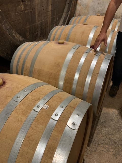 Private tour: Wine and tapas, experience real Mallorca - The ride from Palma to central Mallorca