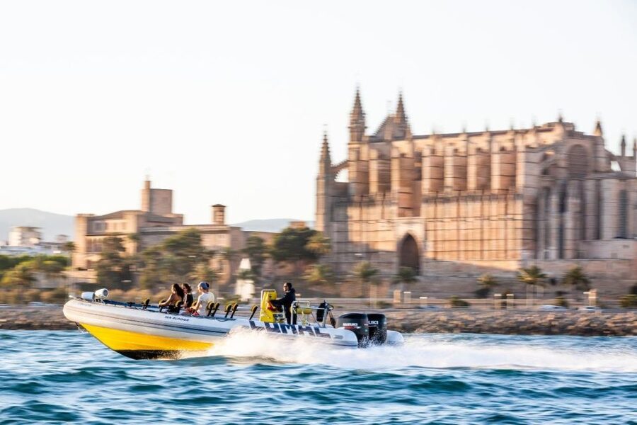 S'Arenal: Boat trip to Illetas with views of Palma - Key points to know before sailing