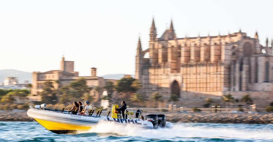 S'Arenal: Boat trip to Illetas with views of Palma - Practical preparation for the S’Arenal departure