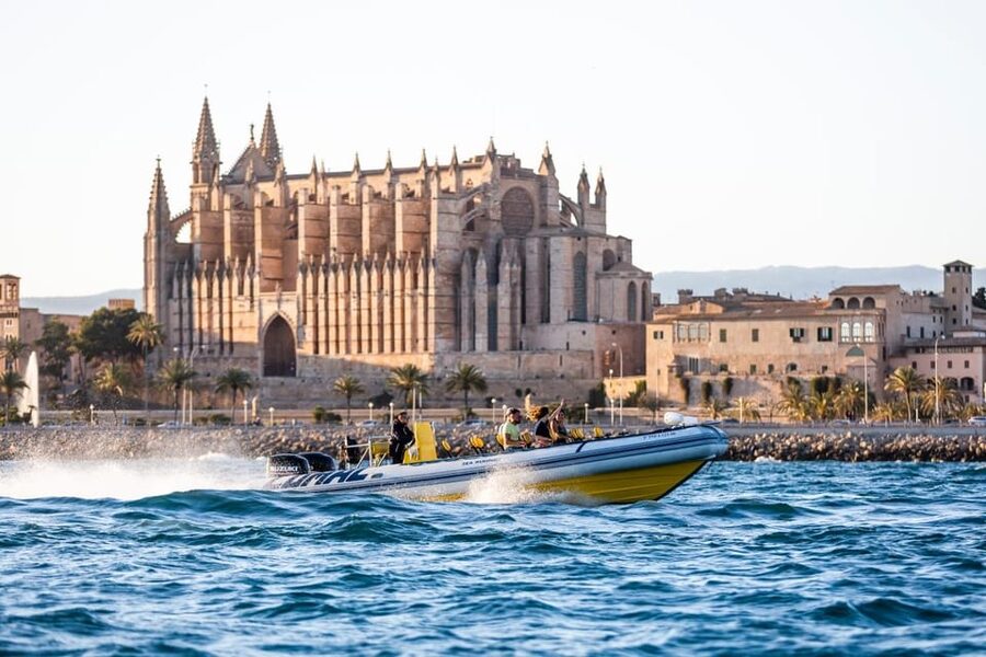 S'Arenal: Boat trip to Illetas with views of Palma - FAQ