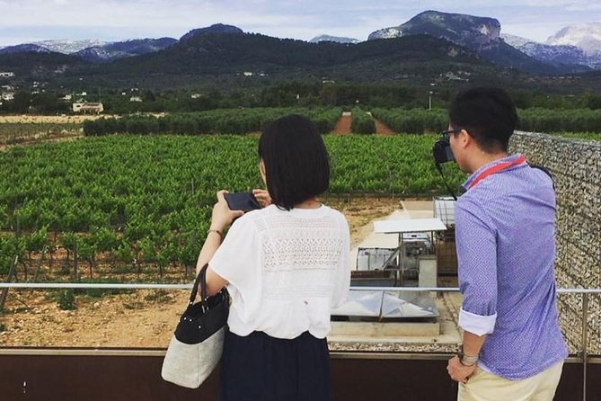 Sa Clasta Mallorca Wine Tours - What the six-hour day feels like