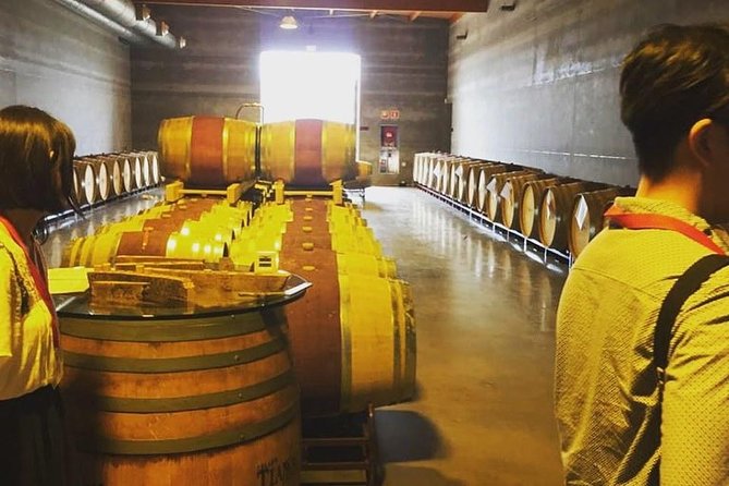 Sa Clasta Mallorca Wine Tours - At the second winery: small scale and changing expectations