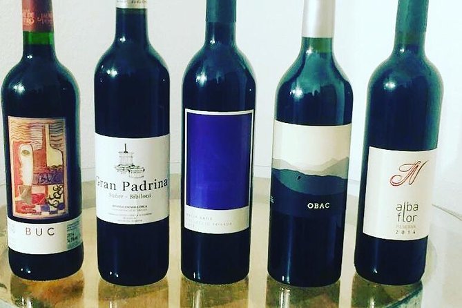 Sa Clasta Mallorca Wine Tours - Why the private format matters