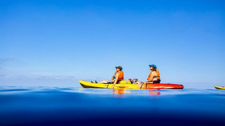 Sant Elm: Guided kayak tour to the Island Dragonera & Hiking - Is $77 a fair price?
