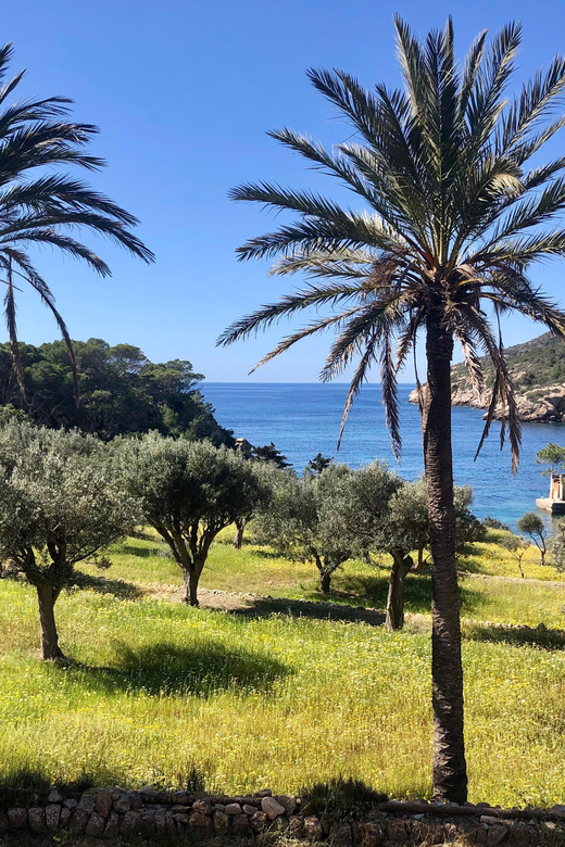 Sant Elm: Guided kayak tour to the Island Dragonera & Hiking - Starting in Sant Elm, with the Tramuntana behind you