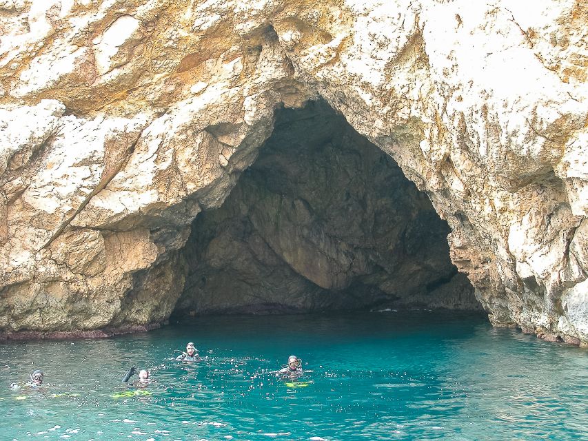 Santa Ponsa: Snorkeling Tour in a Marine Reserve - Quick points for your Santa Ponsa snorkeling day