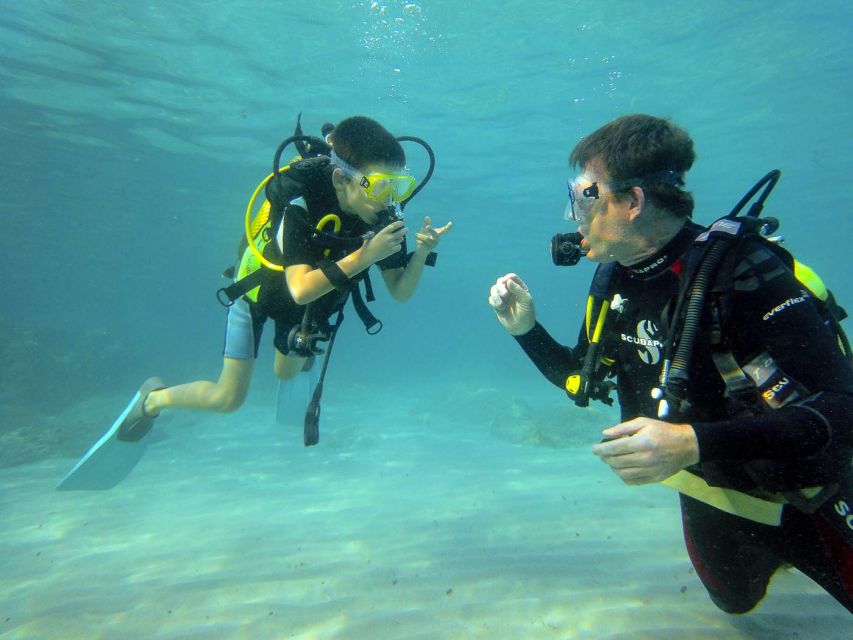 Santa Ponsa: Try Scuba Diving in a Marine Reserve - Is $130 good value?