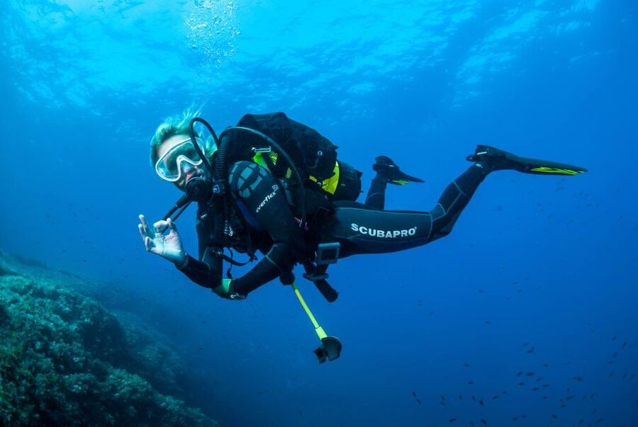 Santa Ponsa: Try Scuba Diving in a Marine Reserve - Who should book this activity?