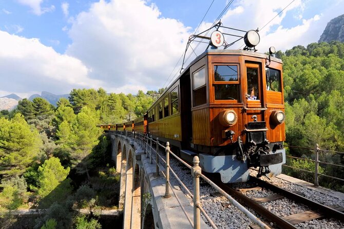 Scenic tour by Train, Tram and Boat through the lakes - The spectacular descent on MA-2141