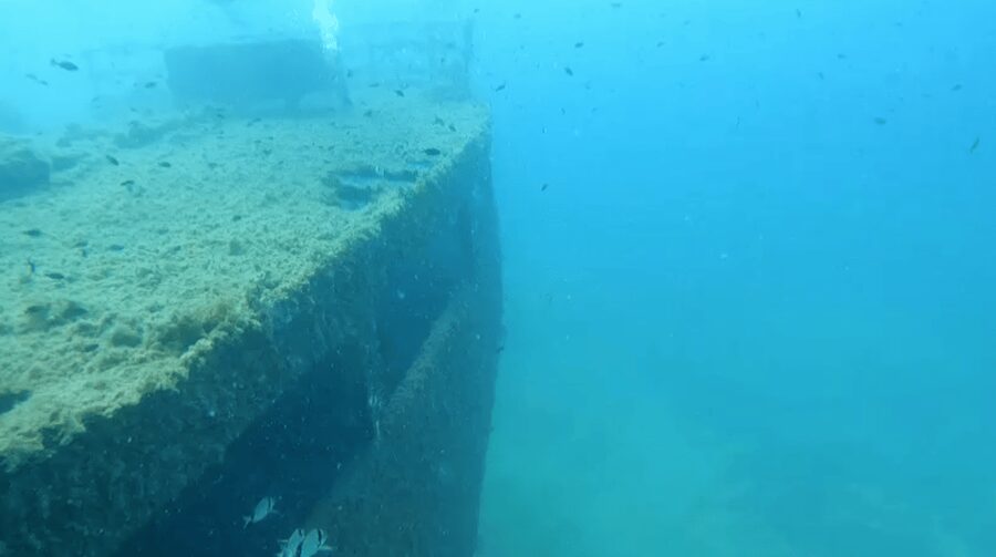 Scuba Diving - Dive for certified divers - Key points to know before booking
