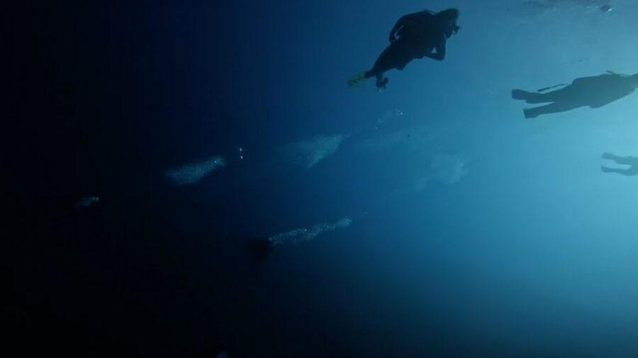 Scuba Diving - Dive for certified divers - Is the $136 price good value?