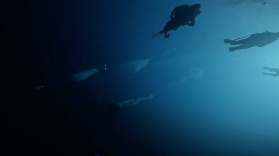 Scuba Diving - Dive for certified divers - Hotel pickup makes a three-hour outing easier