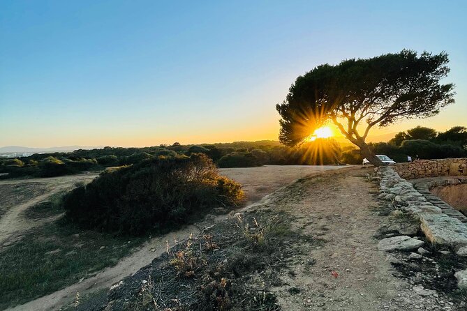 Self-guided Walking Tour and Outdoor Escape Game in Cala Millor, in German - Stop 1: Punta de n’Amer and the nature resort route