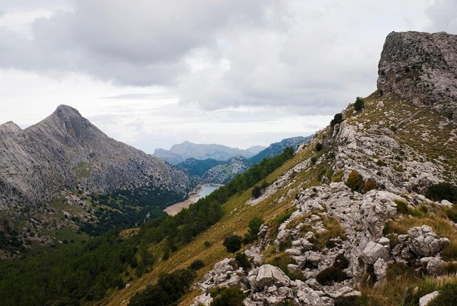 Small-Group Cliff Jumping Experience in Mallorca - Key points to know before you book
