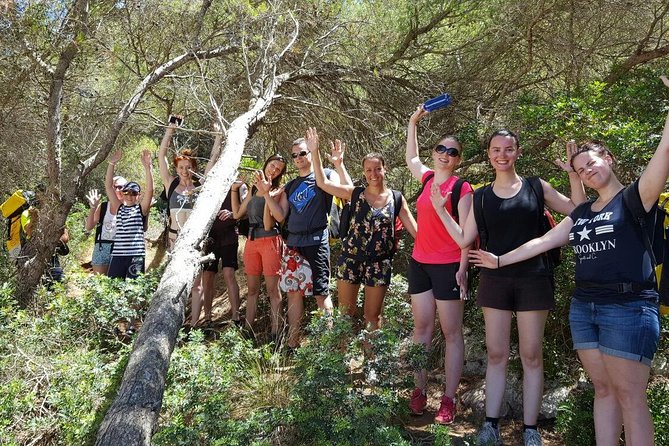 Small-Group Cova de Coloms Sea Caving Tour in Mallorca - Why the alternative cave plan matters