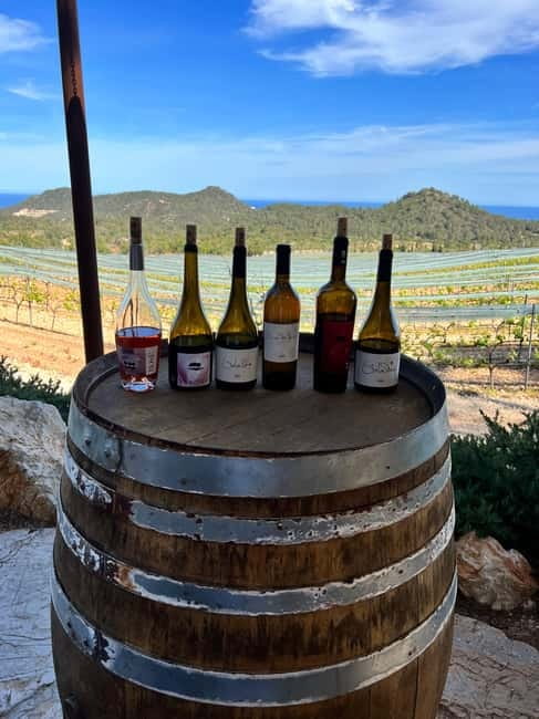 Small group- Exclusive Olive Oil & Wine Tour Mallorca - What to bring and how to prepare