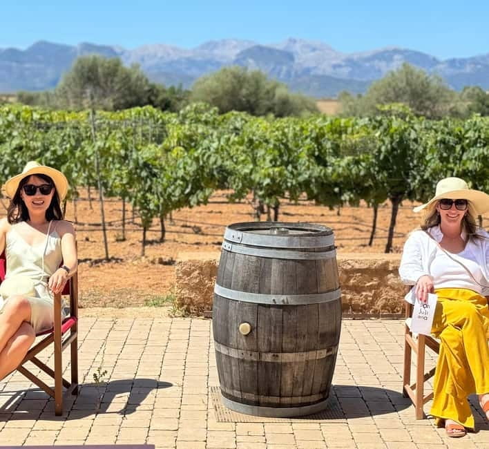 Small group- Exclusive Olive Oil & Wine Tour Mallorca - The olive mill: learning to taste Mallorca’s liquid gold