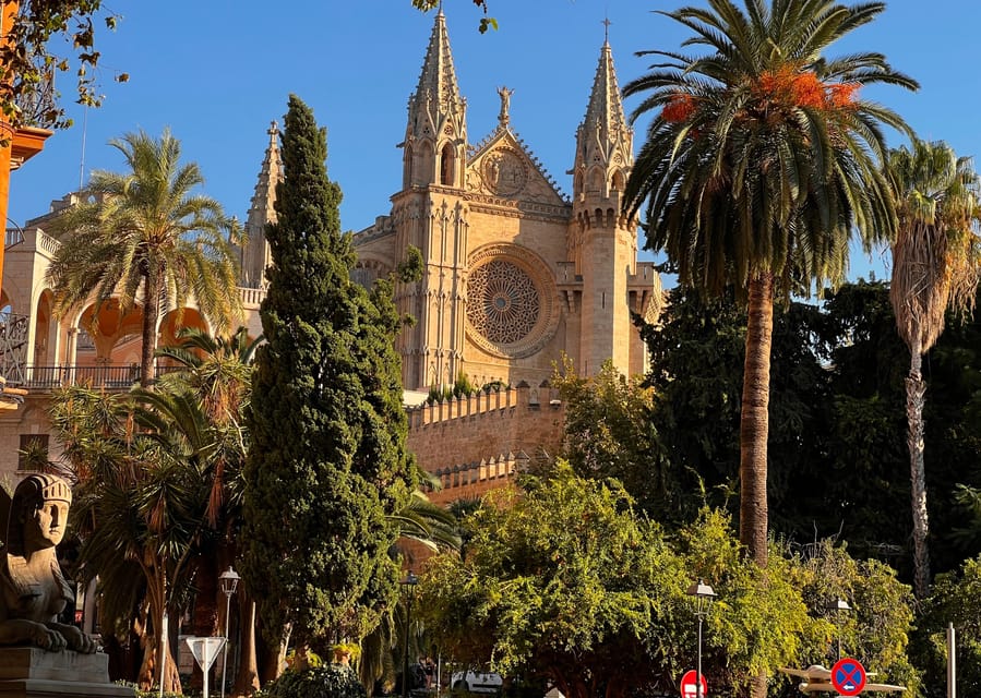 Small group- Exclusive Olive Oil & Wine Tour Mallorca - A seven-hour day, not a quick tasting