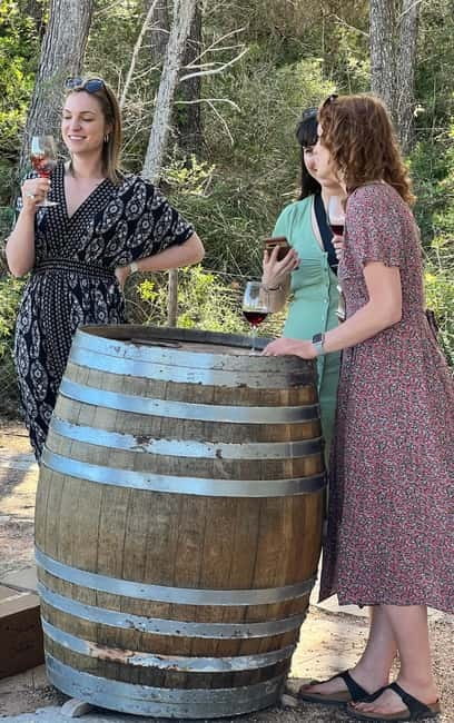 Small group- Exclusive Olive Oil & Wine Tour Mallorca - Who will enjoy this most