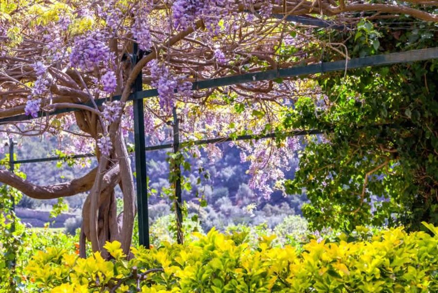 Sóller: Jardines de Alfabia Entrance Ticket - Who will enjoy Alfabia most