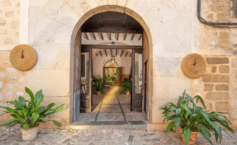 Sóller: Olive Oil Guided Tour and Tasting at Can Det Estate - Seeing the traditional oil mill