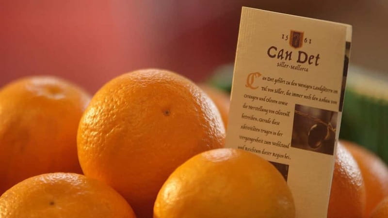 Sóller: Olive Oil Guided Tour and Tasting at Can Det Estate - Is one hour enough?