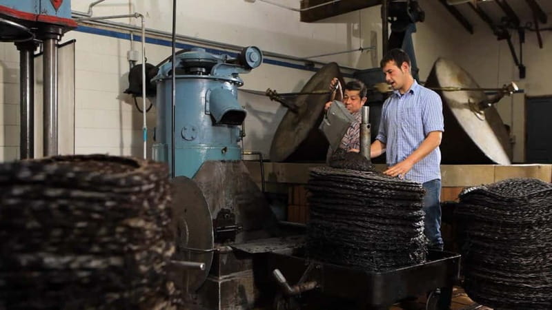 Sóller: Olive Oil Guided Tour and Tasting at Can Det Estate - How the private format affects the visit