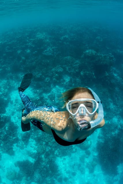 Soller: Private boat tour with skipper - Snorkeling, swimming, and cave stops