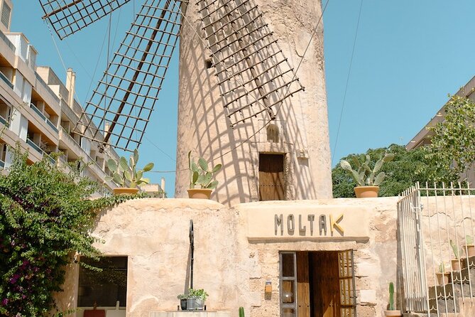 Spanish Cooking Experience in Mallorca - Aprons on: how the cooking session unfolds