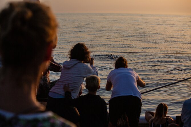 Sunrise Boat Trip in Mallorca with Dolphin-Watching - Breakfast on the return journey