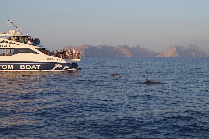 Sunrise Boat Trip in Mallorca with Dolphin-Watching - What the boat is really like