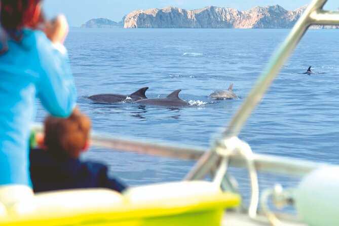 Sunrise Boat Trip in Mallorca with Dolphin-Watching - Who will enjoy this morning most